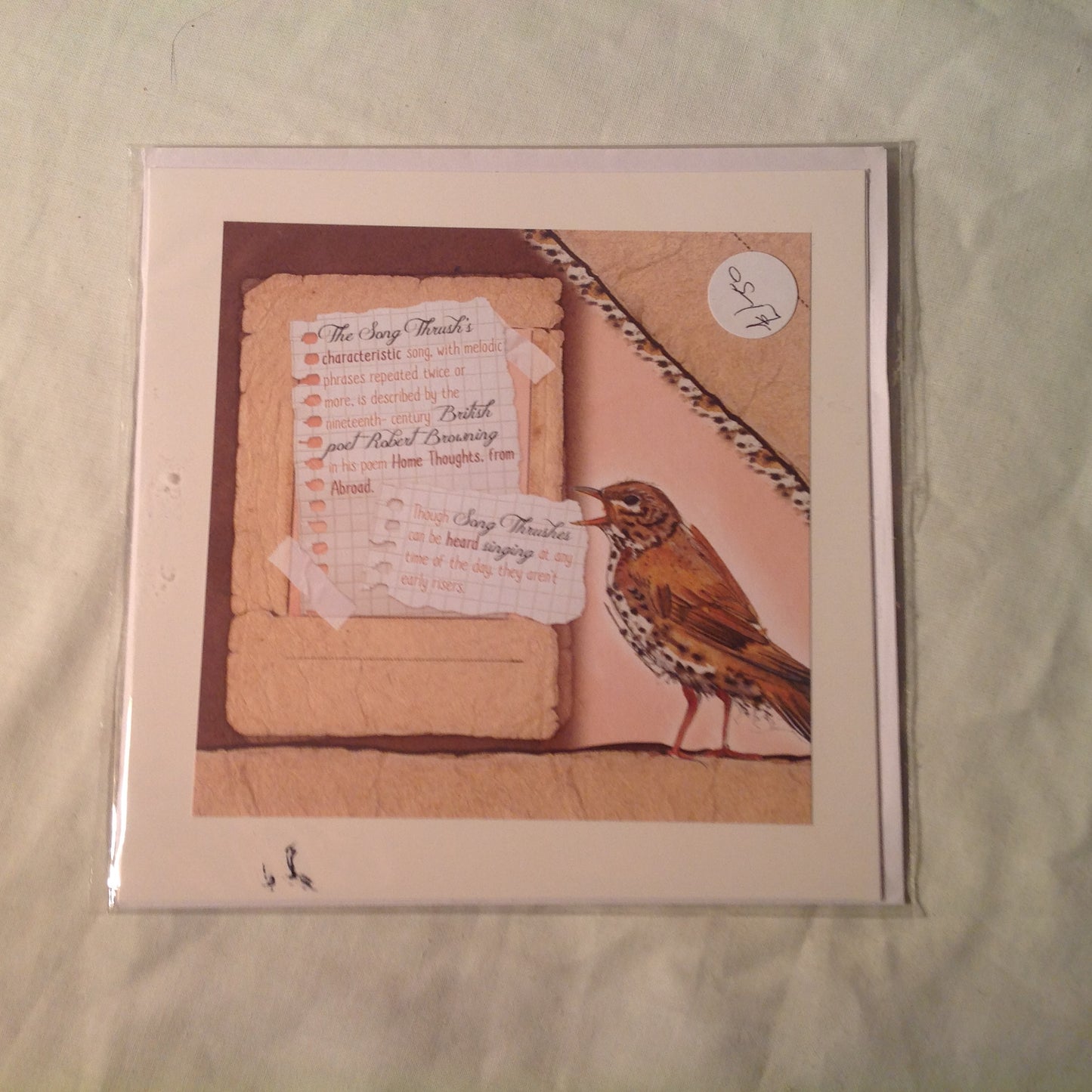 6x6 INCH BIRD CARDS INCLUDING P&P TO UK  CODE 11