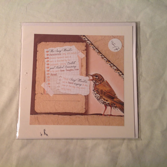 6x6 INCH BIRD CARDS INCLUDING P&P TO UK  CODE 11