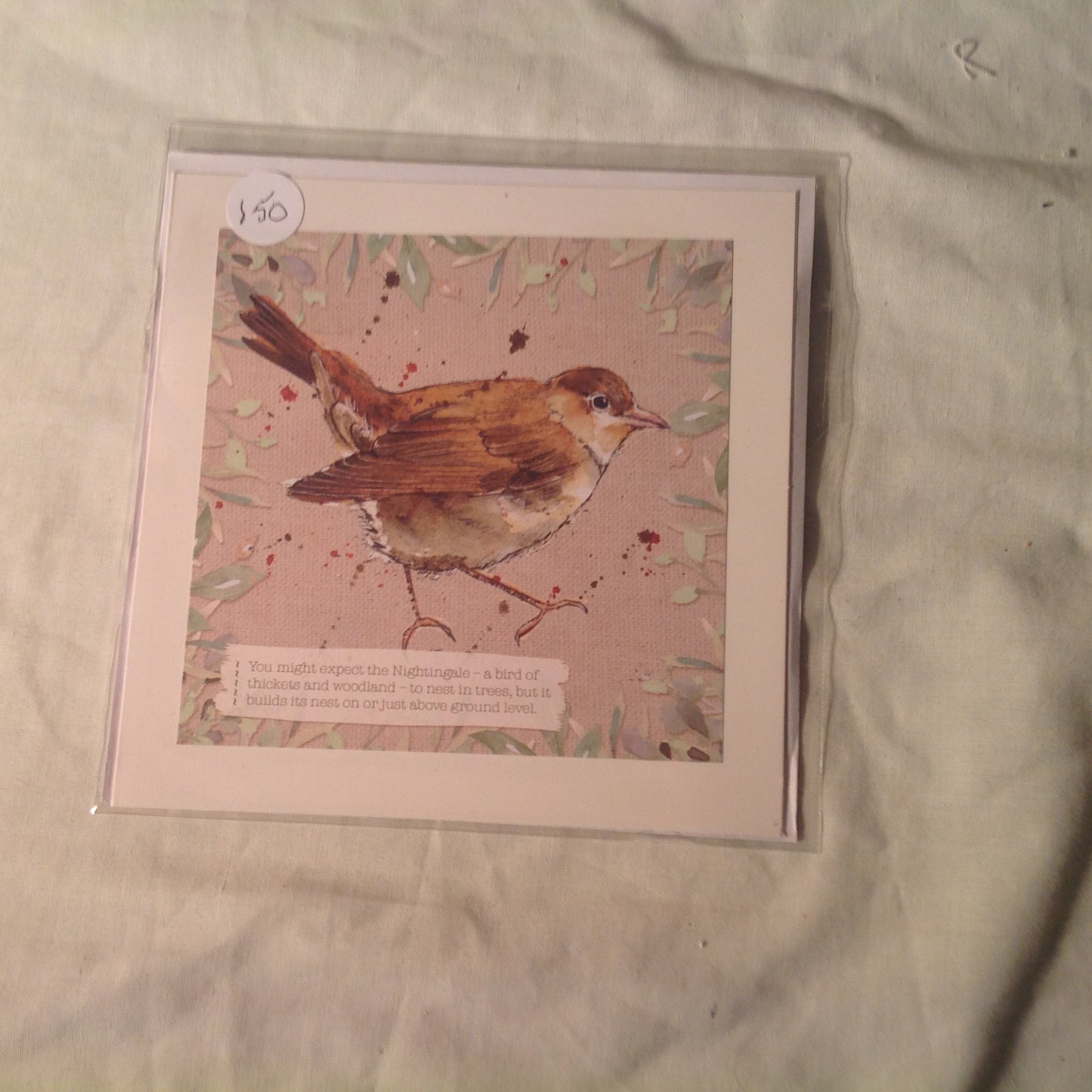 6x6 INCH BIRD CARDS INCLUDING P&P TO UK  CODE 12