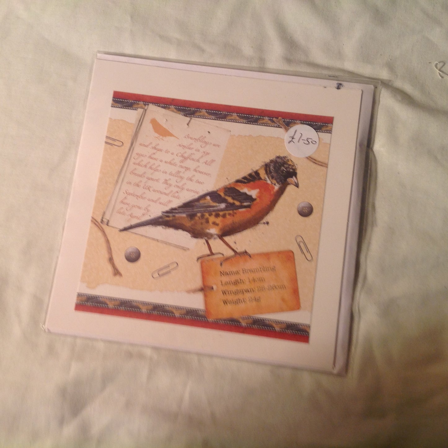 6x6 INCH BIRD CARDS INCLUDING P&P TO UK  CODE 14