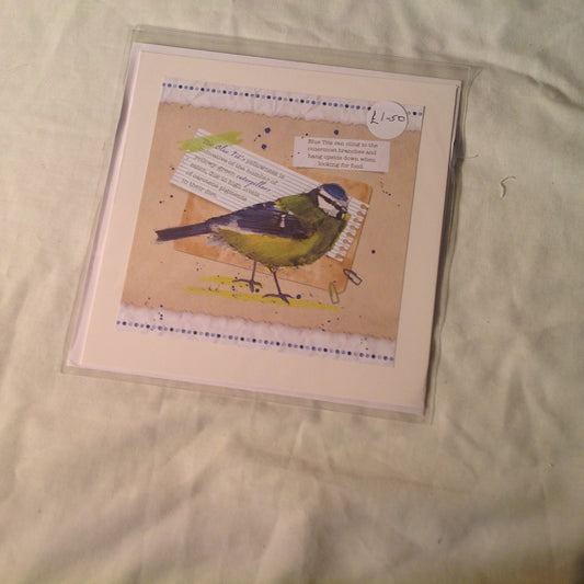 6x6 INCH BIRD CARDS INCLUDING P&P TO UK  CODE 15