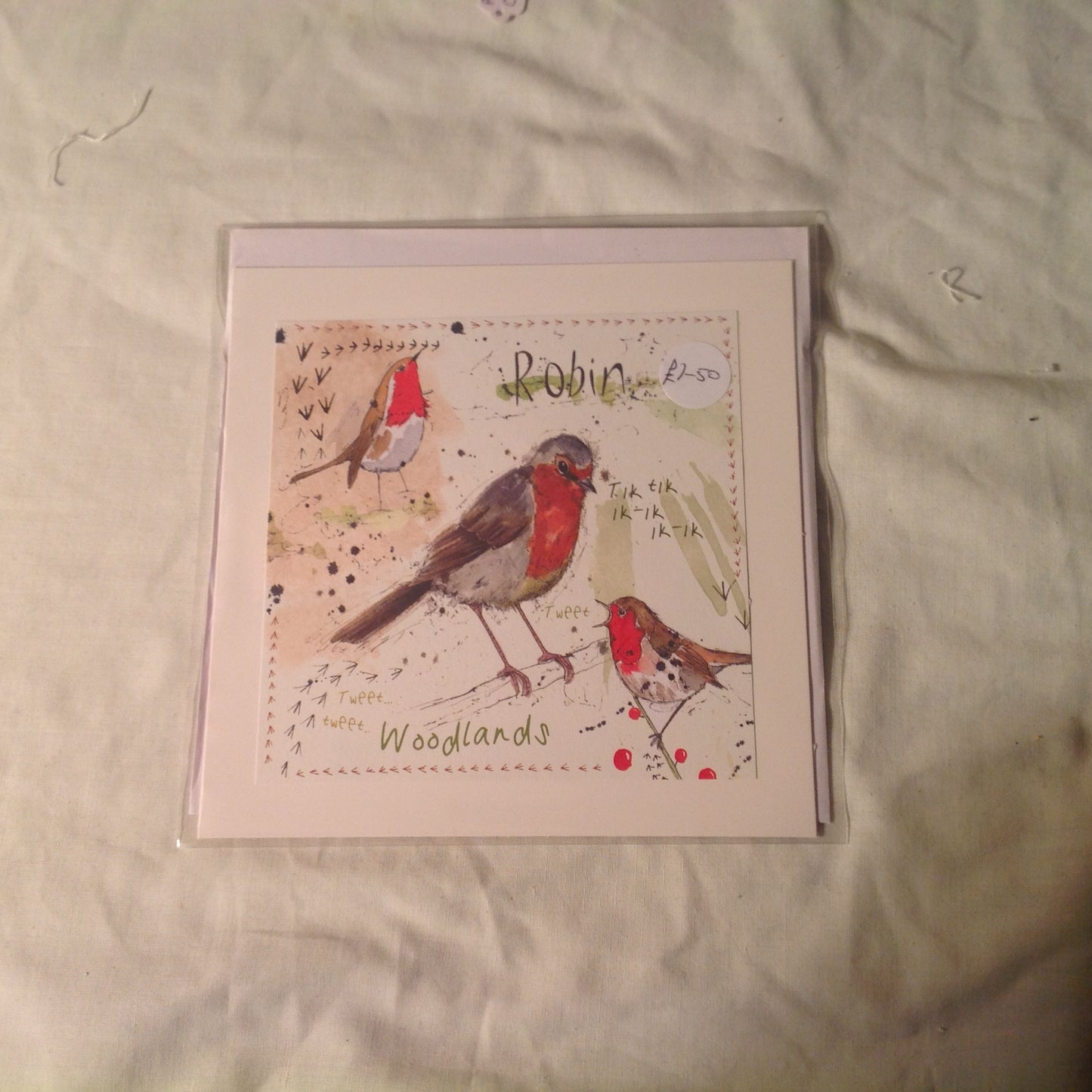 6x6 INCH BIRD CARDS INCLUDING P&P TO UK  CODE 16