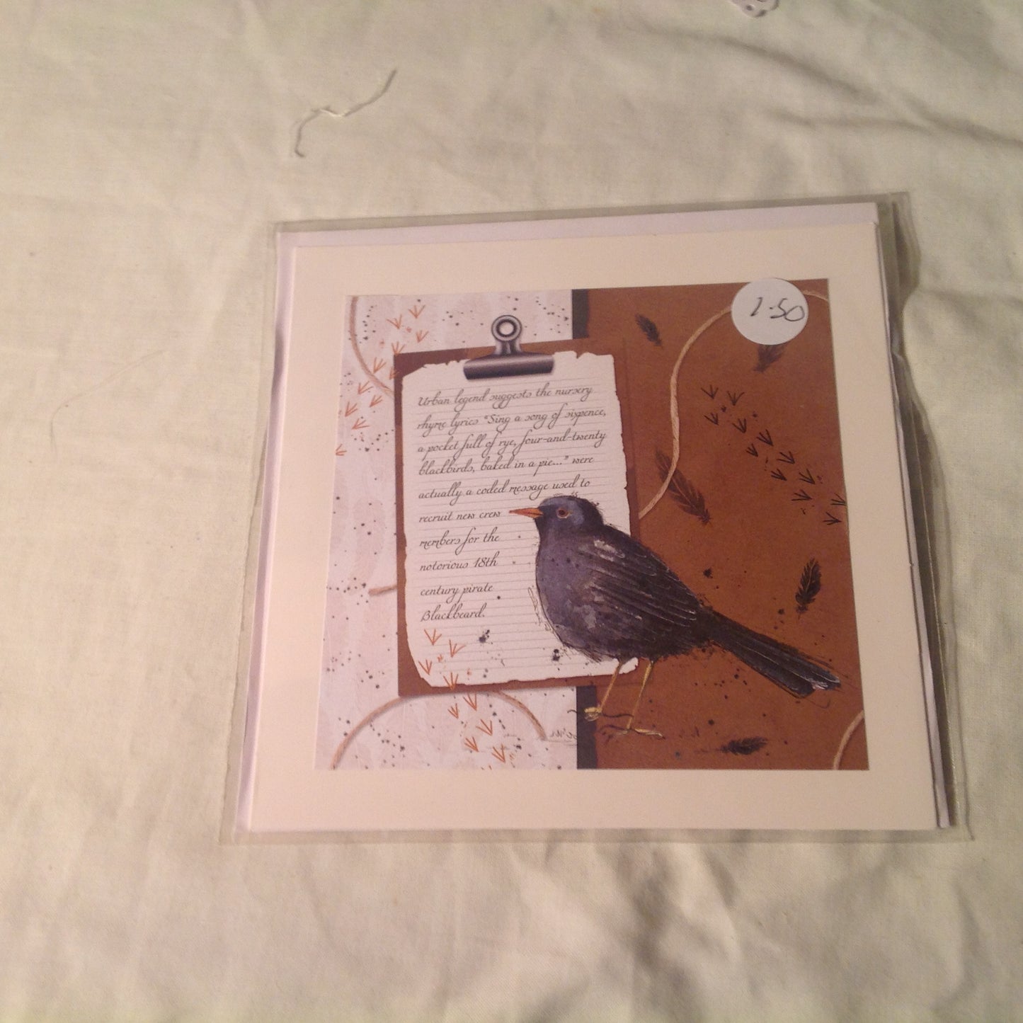 6x6 INCH BIRD CARDS INCLUDING P&P TO UK  CODE 17