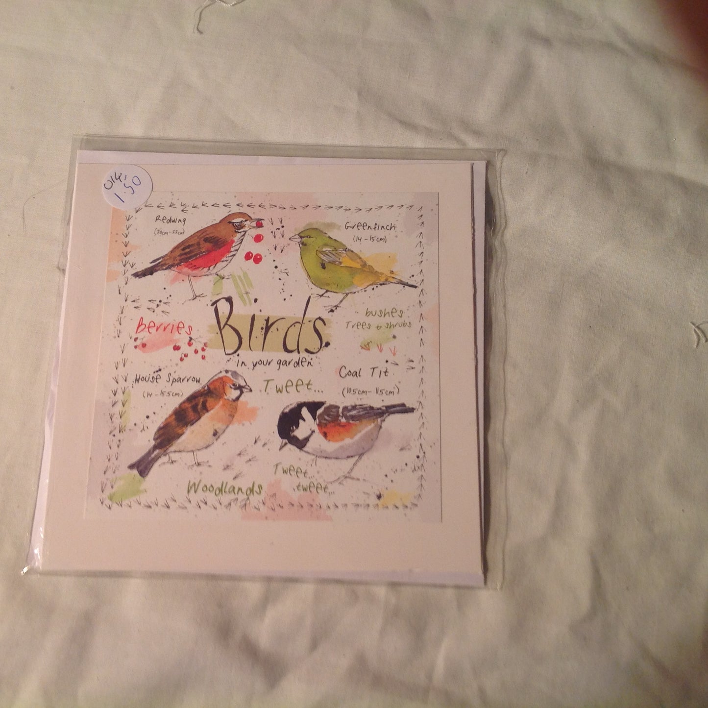 6x6 INCH BIRD CARDS INCLUDING P&P TO UK  CODE 20