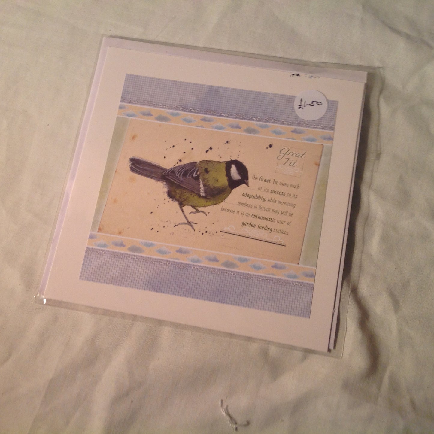 6x6 INCH BIRD CARDS INCLUDING P&P TO UK  CODE 23