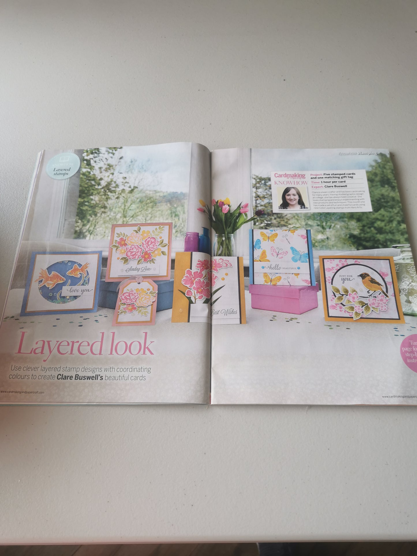 CARDMAKING & PAPERCRAFT INCLUDING P&P TO UK  CODE 406