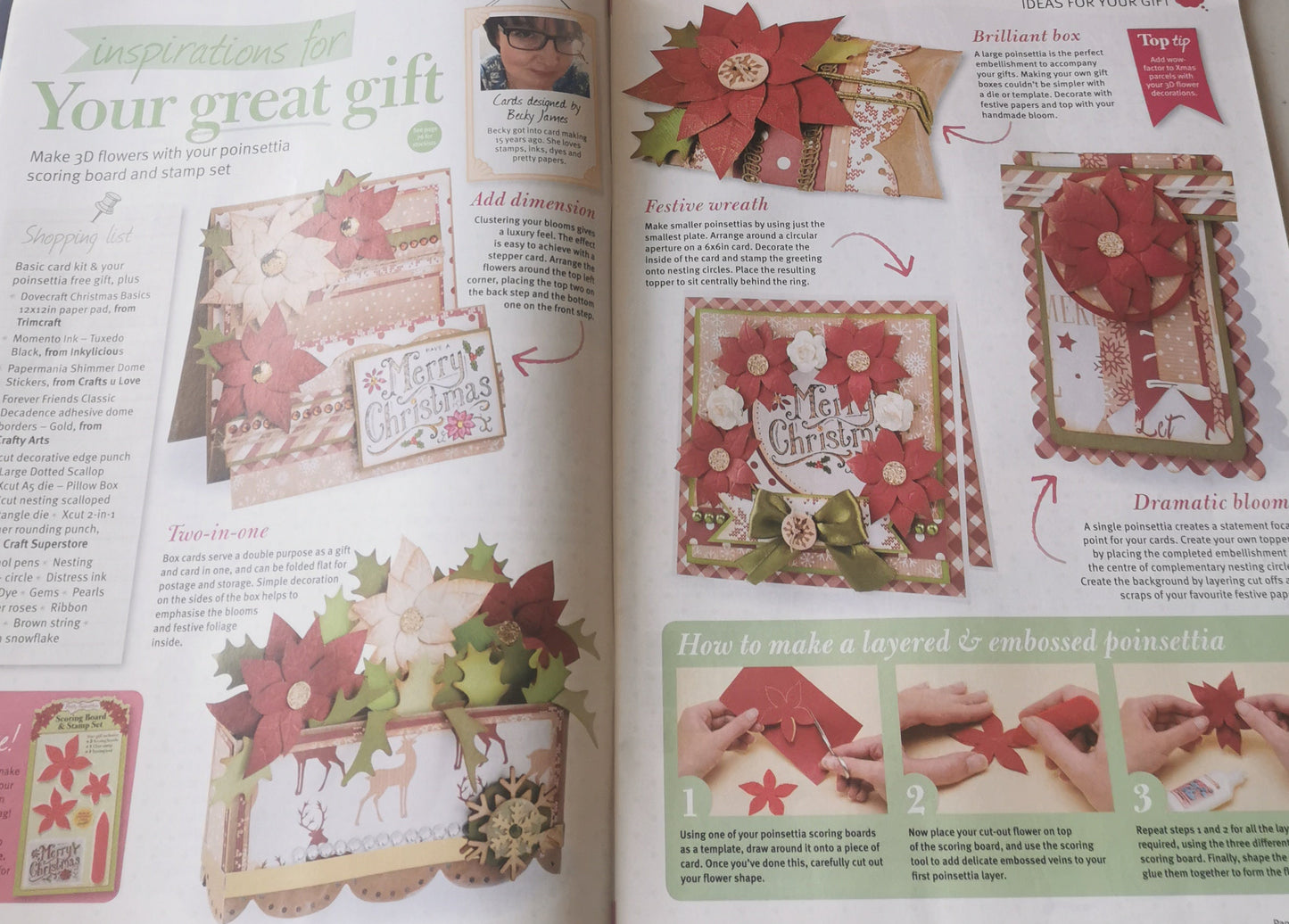 PAPERCRAFT INSPIRATIONS INCLUDING P&P TO UK SALE ON 2 ITEMS PLUS ACROSS MY SHOP  CODE 513