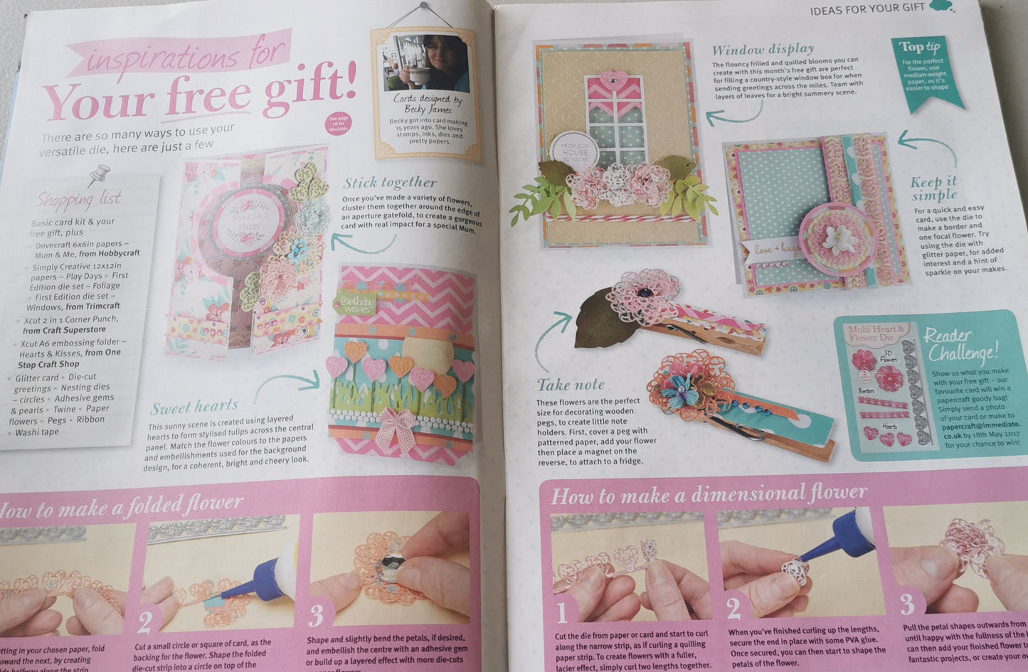 PAPERCRAFT INSPIRATIONS INCLUDING P&P TO UK SALE ON 2 ITEMS PLUS ACROSS MY SHOP  CODE 512