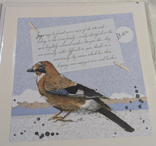 HAND MADE 6x6 INCH BIRD CARDS SALE ON 2 ITEMS ACROSS MY SHOP INCLUDING P&P TO UK  CODE 1
