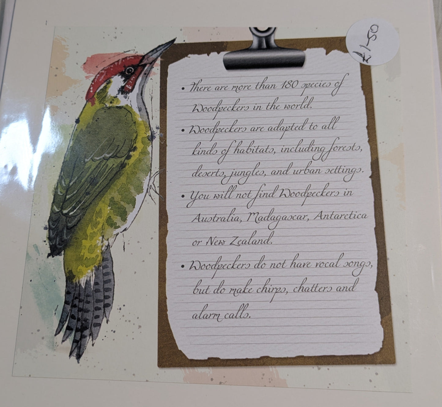 HAND MADE 6x6 INCH BIRD CARDS SALE ON 2 ITEMS ACROSS MY SHOP INCLUDING P&P TO UK  CODE 4