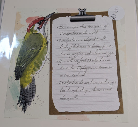 HAND MADE 6x6 INCH BIRD CARDS SALE ON 2 ITEMS ACROSS MY SHOP INCLUDING P&P TO UK  CODE 4