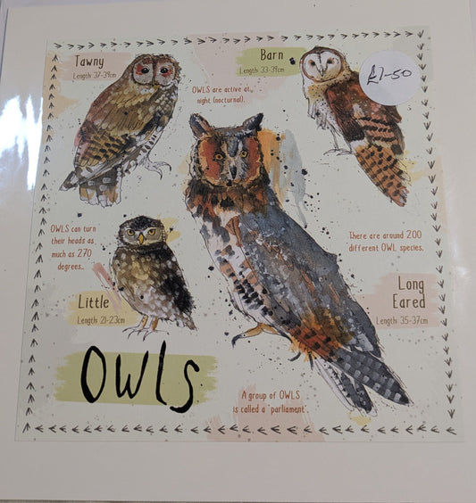 HAND MADE 6x6 INCH BIRD CARDS SALE ON 2 ITEMS ACROSS MY SHOP INCLUDING P&P TO UK  CODE 5