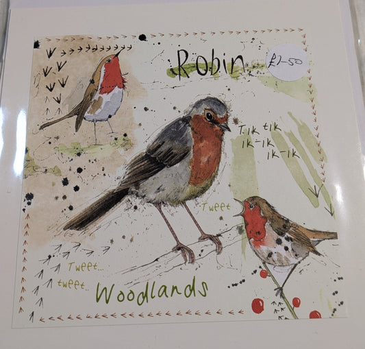 HAND MADE 6x6 INCH BIRD CARDS SALE ON 2 ITEMS ACROSS MY SHOP INCLUDING P&P TO UK  CODE 7