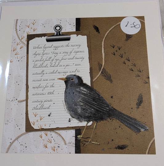 HAND MADE 6x6 INCH BIRD CARDS SALE ON 2 ITEMS ACROSS MY SHOP INCLUDING P&P TO UK  CODE 8