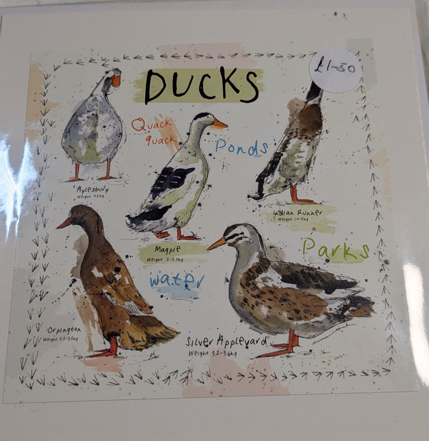 HAND MADE 6x6 INCH BIRD CARDS SALE ON 2 ITEMS ACROSS MY SHOP INCLUDING P&P TO UK  CODE 10