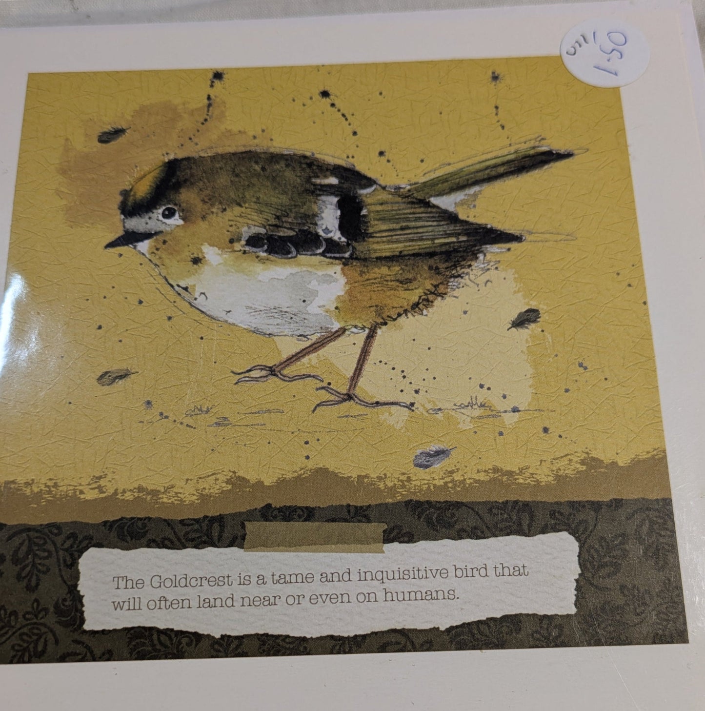 HAND MADE 6x6 INCH BIRD CARDS SALE ON 2 ITEMS ACROSS MY SHOP INCLUDING P&P TO UK  CODE 11