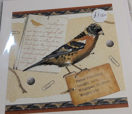 HAND MADE 6x6 INCH BIRD CARDS SALE ON 2 ITEMS ACROSS MY SHOP INCLUDING P&P TO UK  CODE 12
